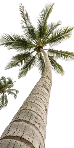 Imagen PNG para descargar